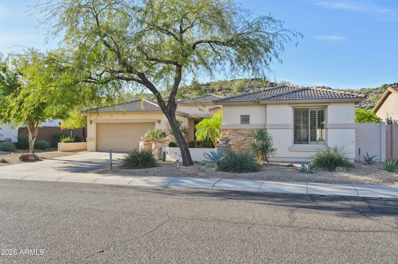 4-print-W Hedgehog Pl-S3012-004