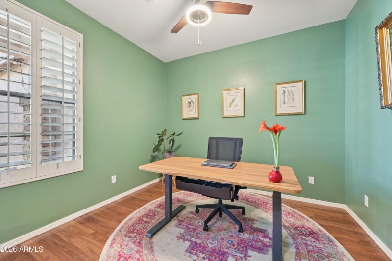 23-print-W Hedgehog Pl-S3012-023