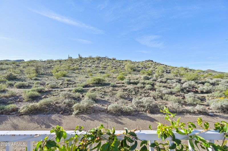 40-print-W Hedgehog Pl-S3012-040