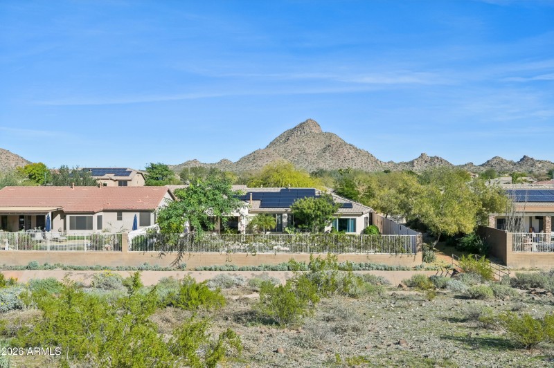 50-print-W Hedgehog Pl-S3012-050