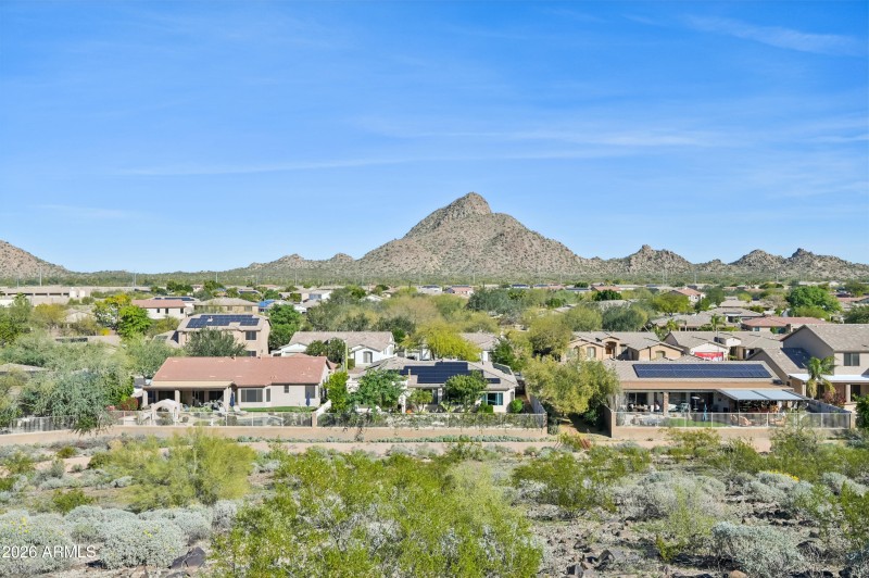 52-print-W Hedgehog Pl-S3012-052