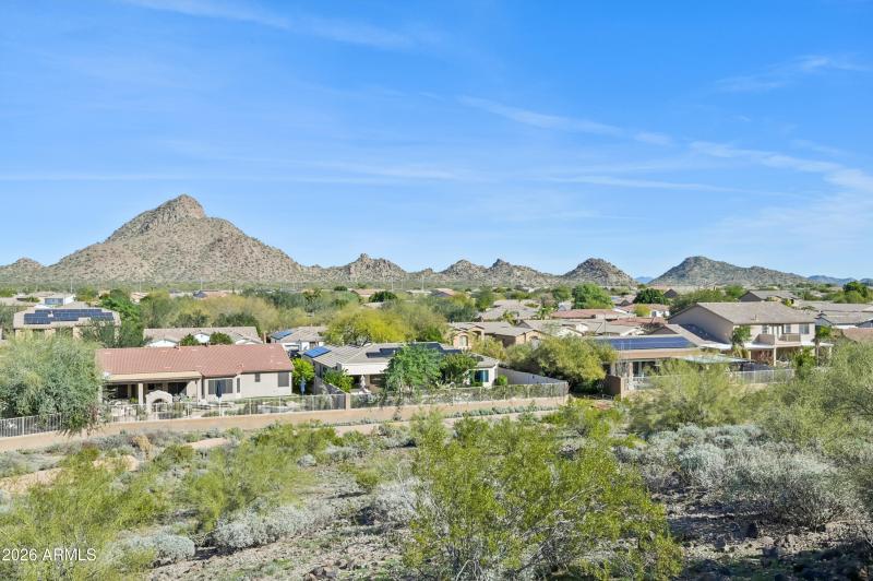 54-print-W Hedgehog Pl-S3012-054