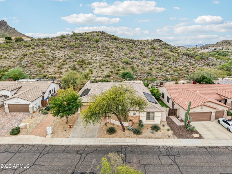 65-print-W Hedgehog Pl-S0201-005