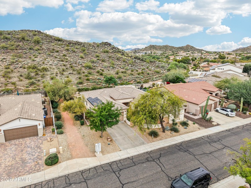 66-print-W Hedgehog Pl-S0201-006