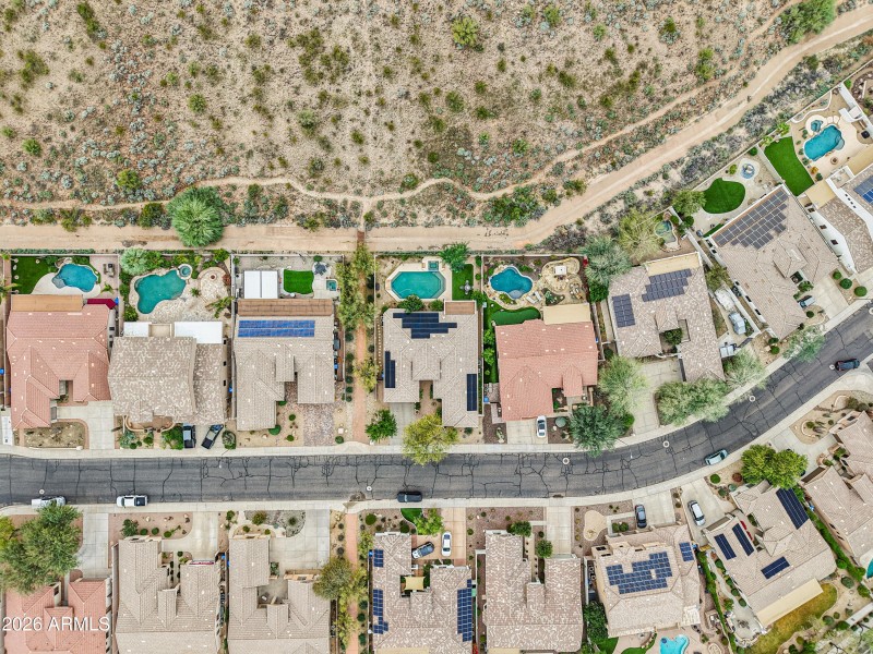 68-print-W Hedgehog Pl-S0201-008