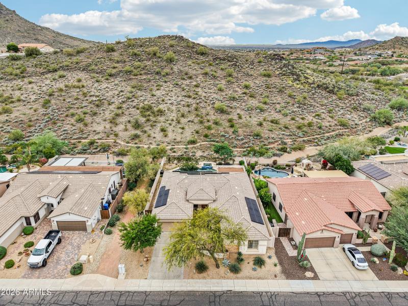 73-print-W Hedgehog Pl-S0201-013