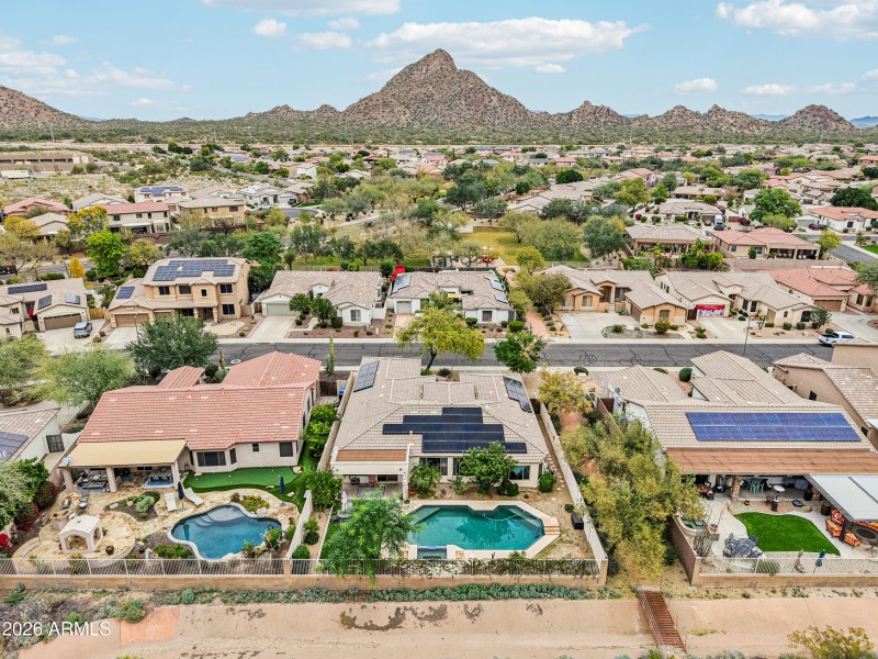 79-print-W Hedgehog Pl-S0201-019