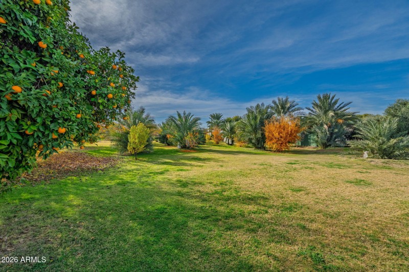 28-web-or-mls-13839 E Morgan Drvie - Mai