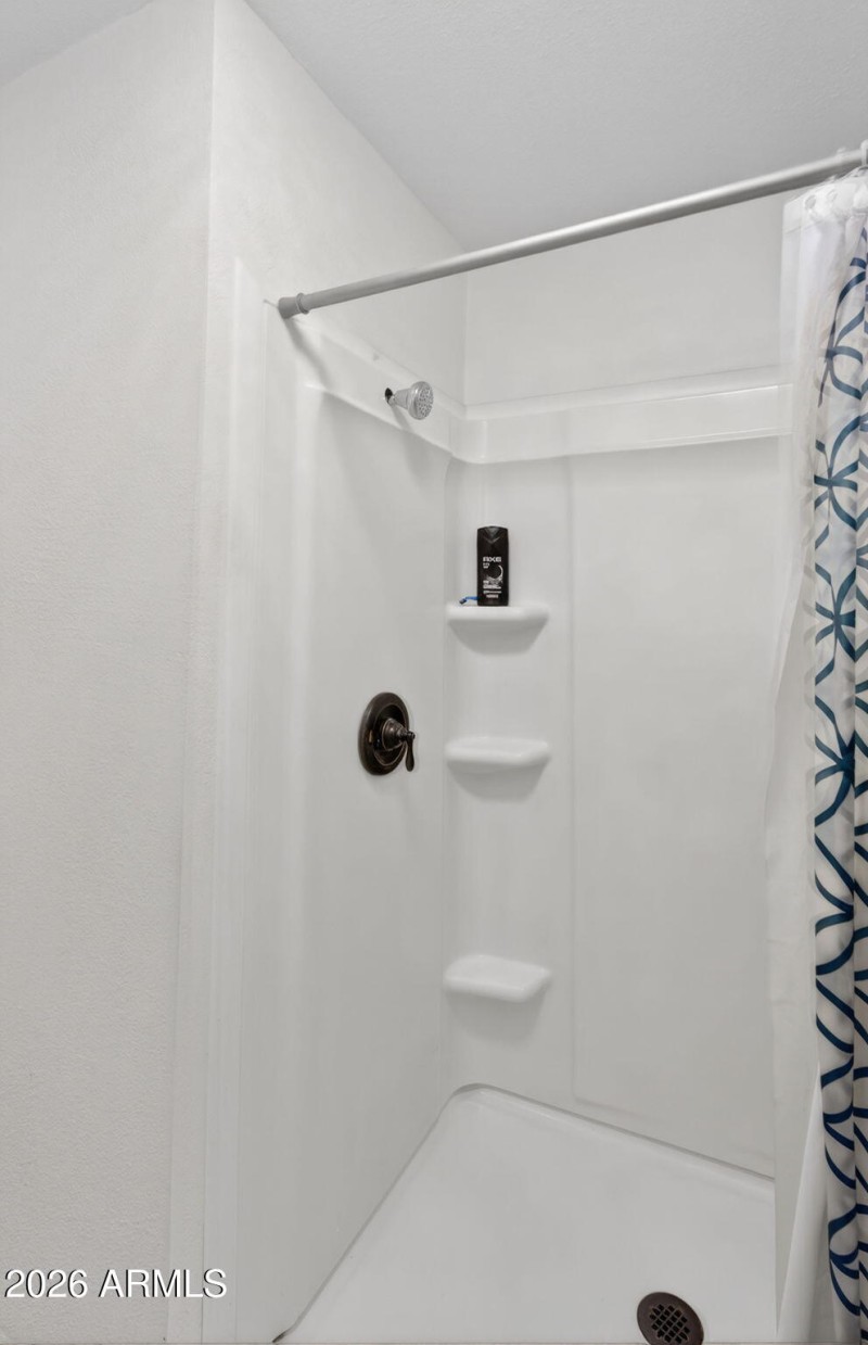 Primary Bath Walk-In Shower
