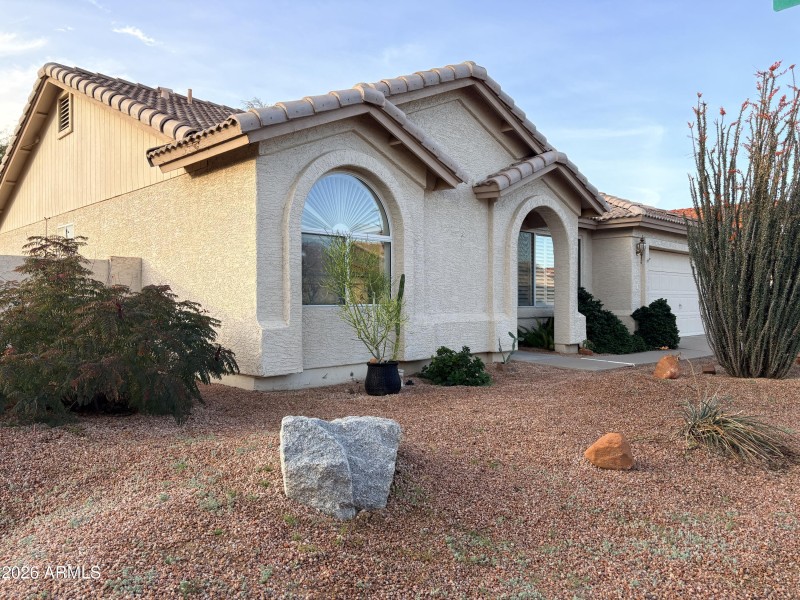 Elmhurst Desert front yard