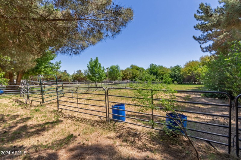 Pasture