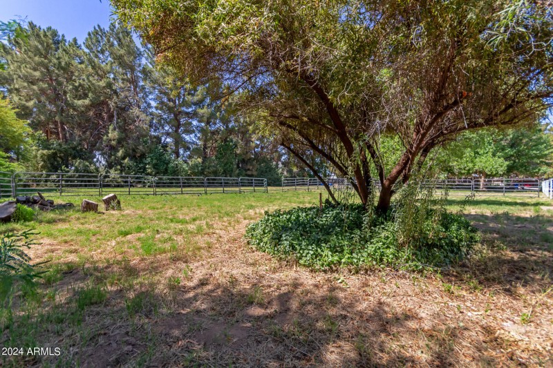 pasture