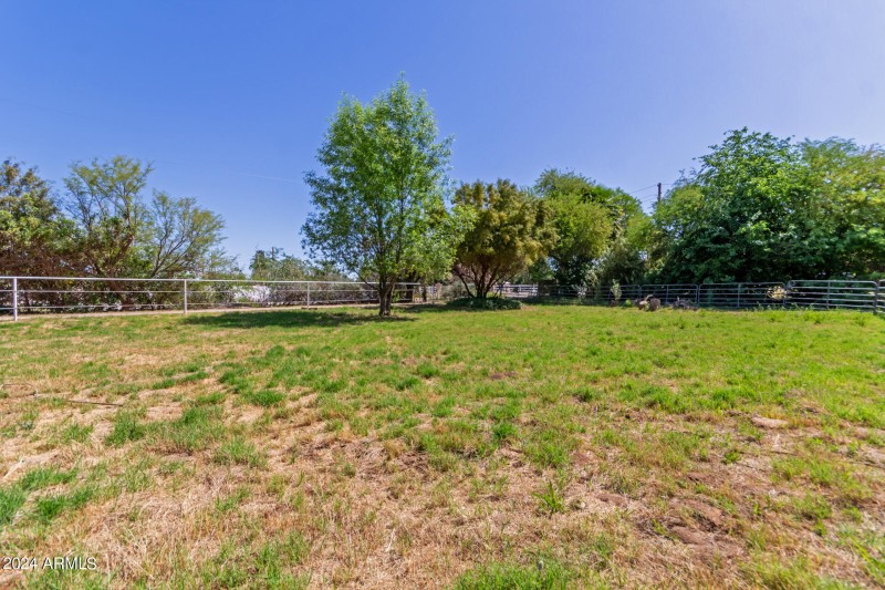 Pasture