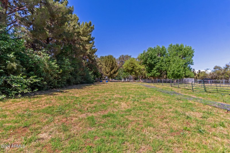 Pasture