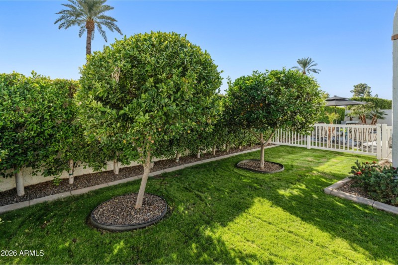 Lush Lawn & Citrus Trees
