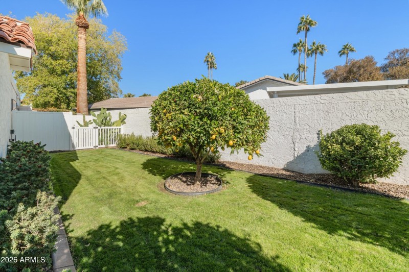 Private Yard with Fruit Tree