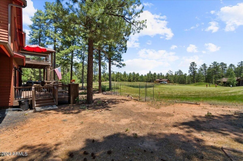 Back yard