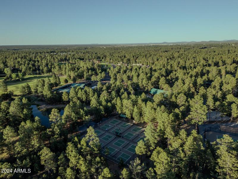 DJI_0250