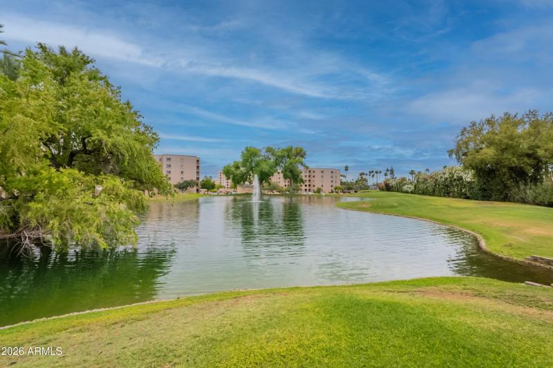 55-print-Camelback-55