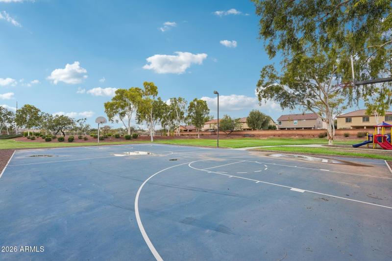 Basketball Court