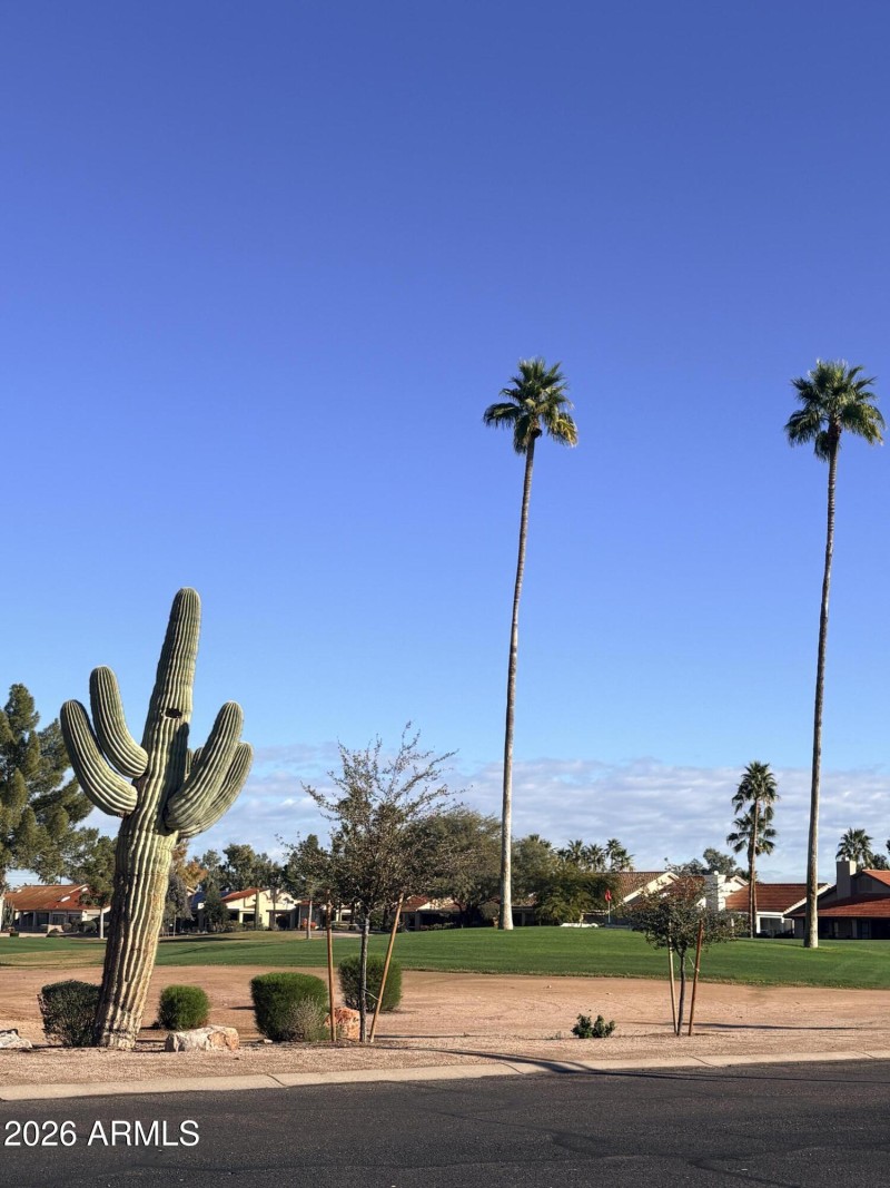 Sun Lakes golf views