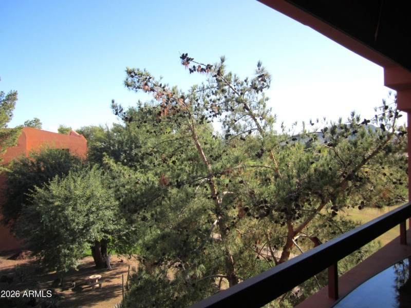 10 423 BALCONY VIEW ABOVE THE GARDEN