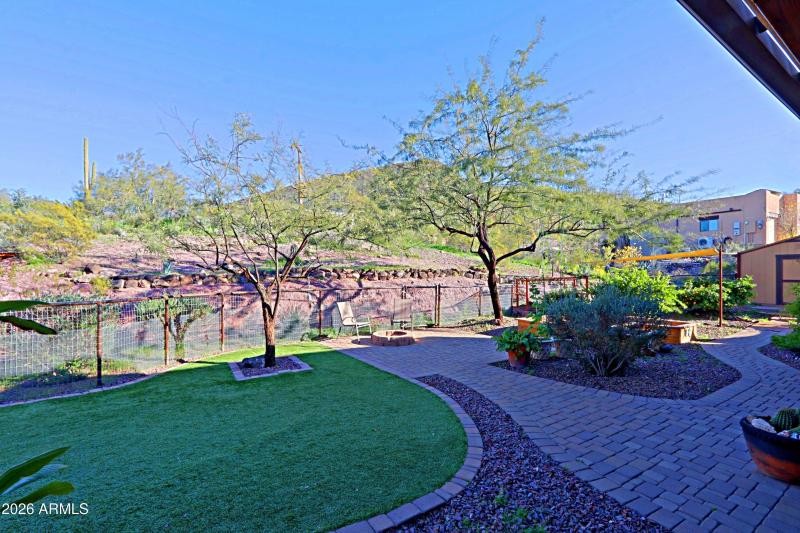 Backyard 2