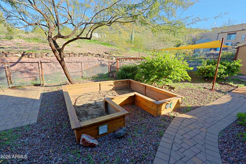 Backyard 9