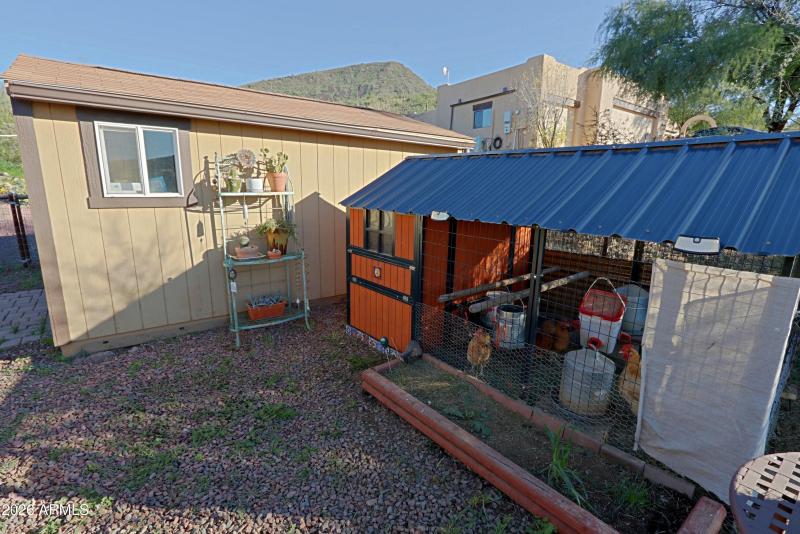 Backyard 16