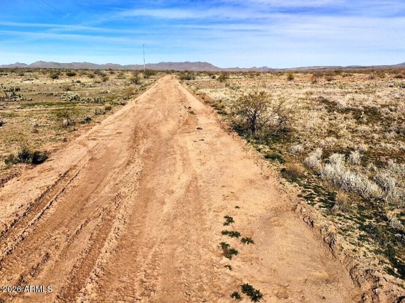 20) 66705-6961ac1b66eff