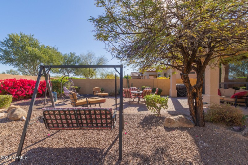 Backyard
