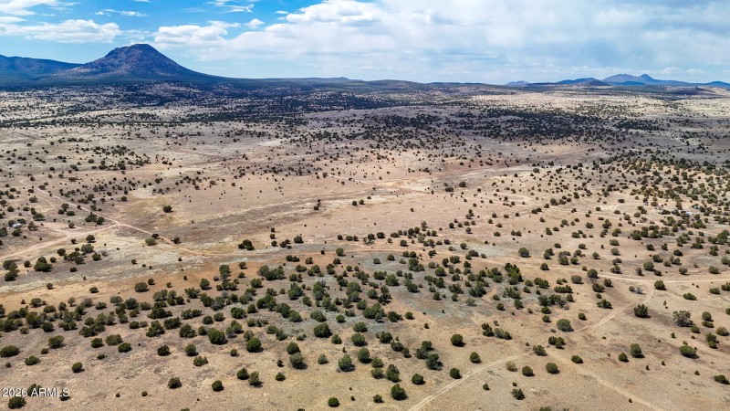 dji_fly_20250530_142836_0031_17487149987