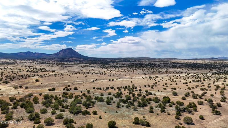 dji_fly_20250530_142900_0037_17487149966