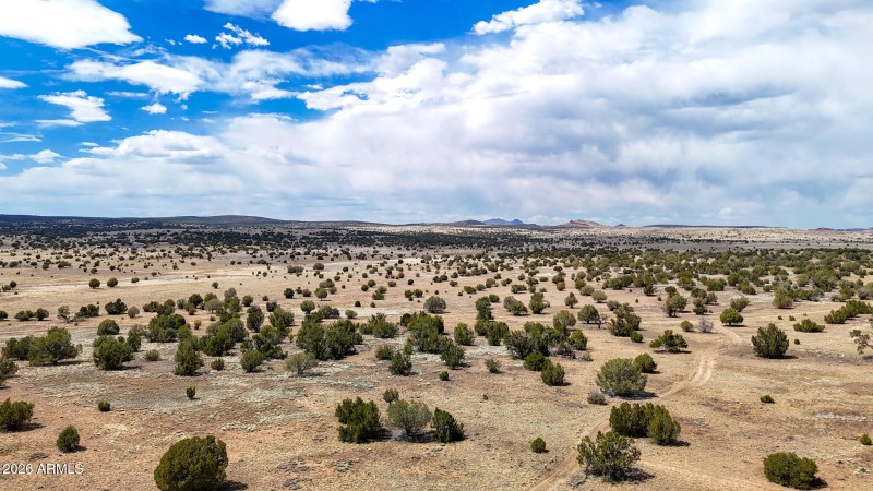 dji_fly_20250530_142908_0041_17487149954