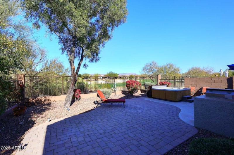 Backyard2