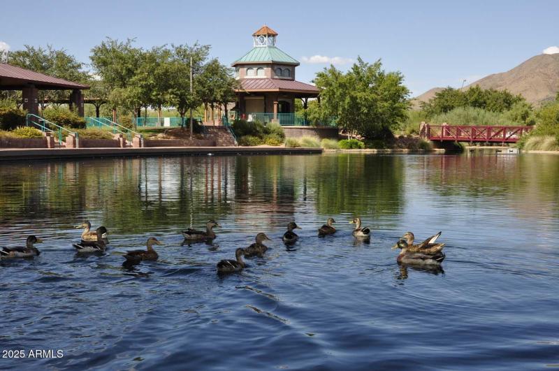 Anthem Community Lake