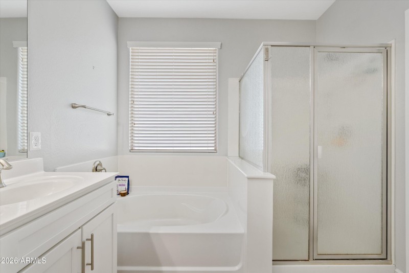 Master Tub & Shower