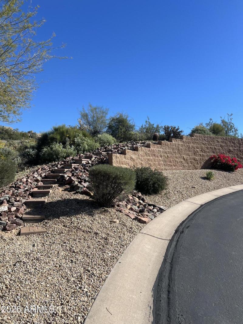 Landscaping & Street View