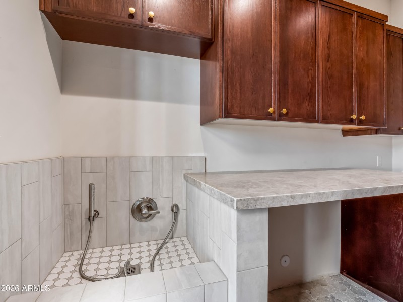 Dog wash in laundry room