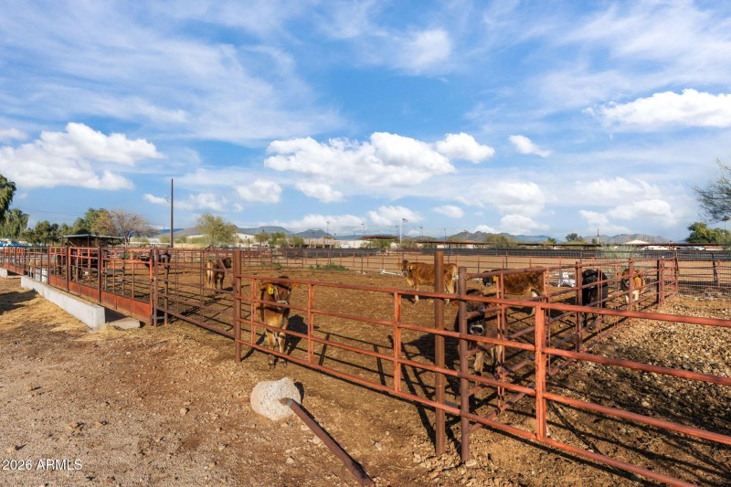 50-web-or-mls-DSC09764