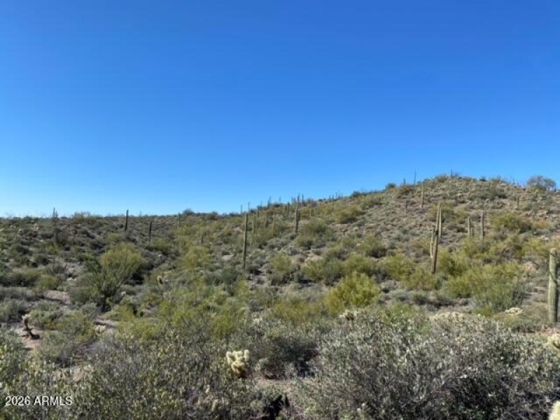 Blue Skies & Starry Nights