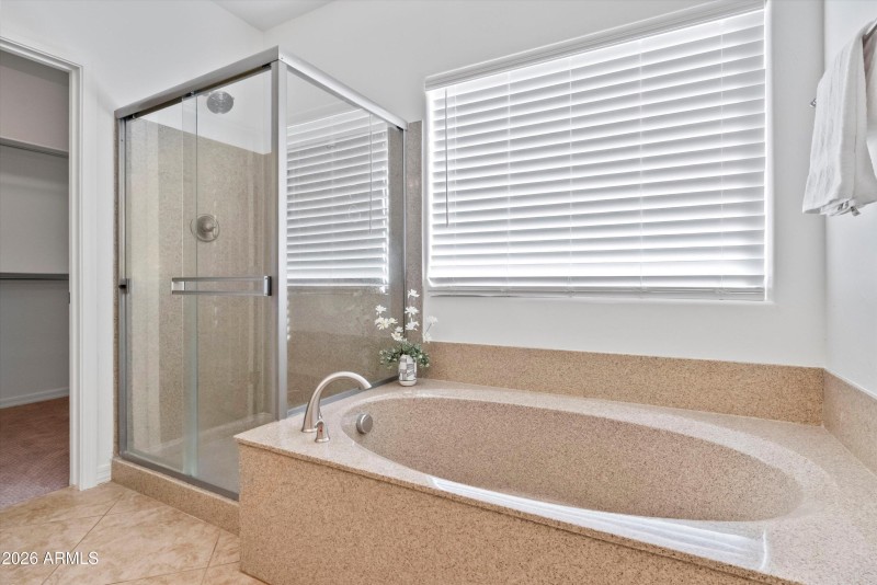 13575 N BARLASSINA Drive, Oro Valley