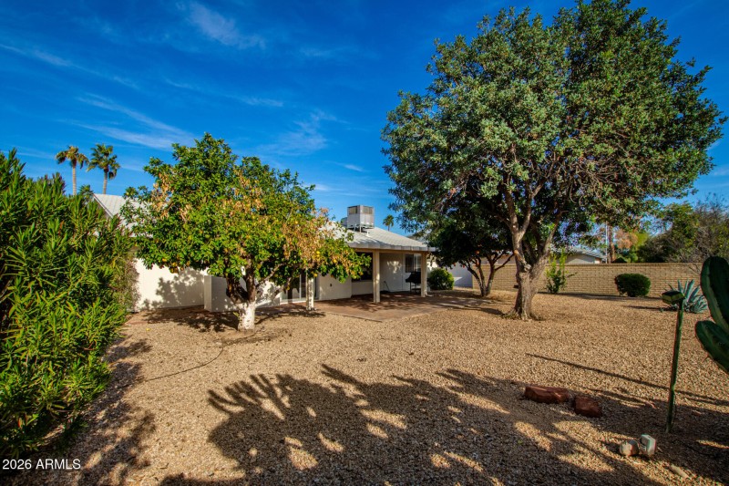 Backyard