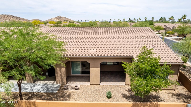 South Facing Backyard