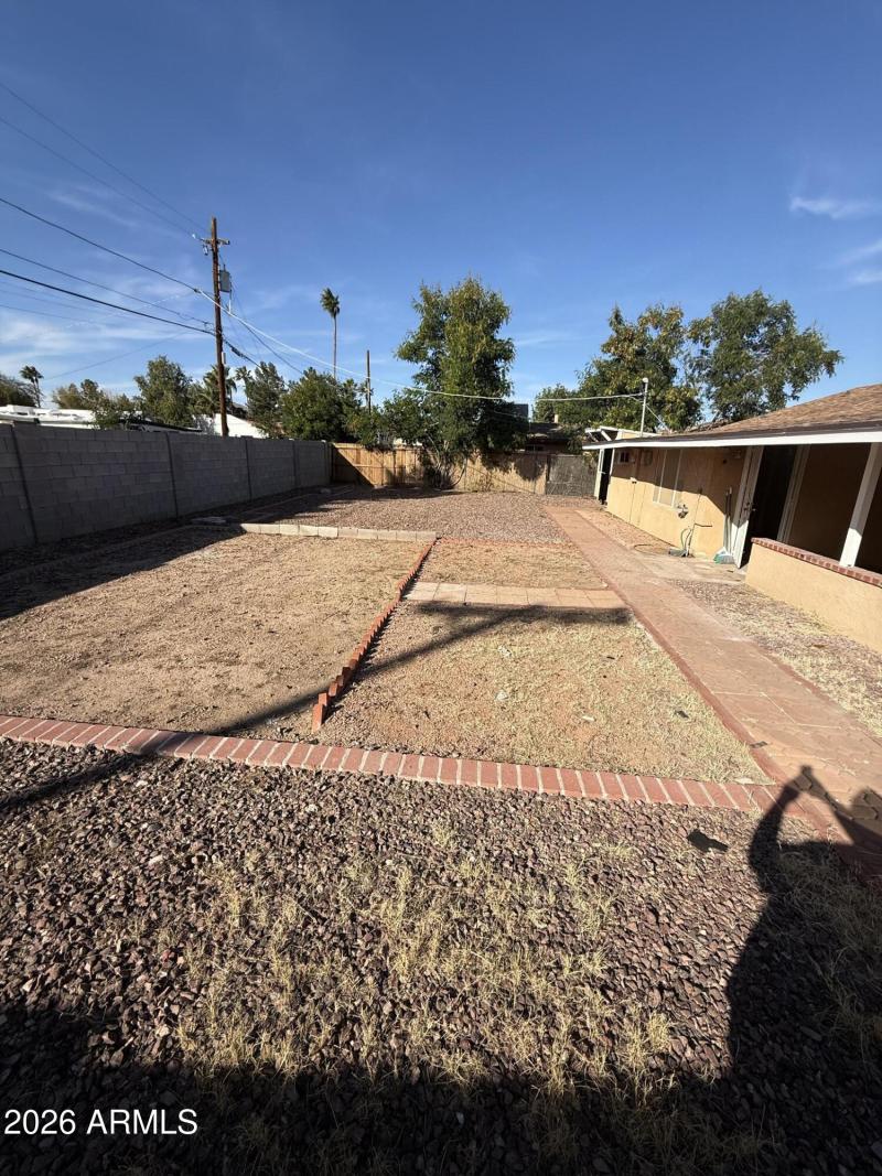 Backyard