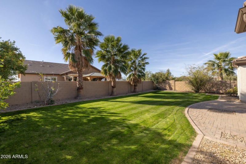 Large, flat and lush!