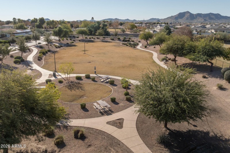 Lots of paths to walk your puppy!