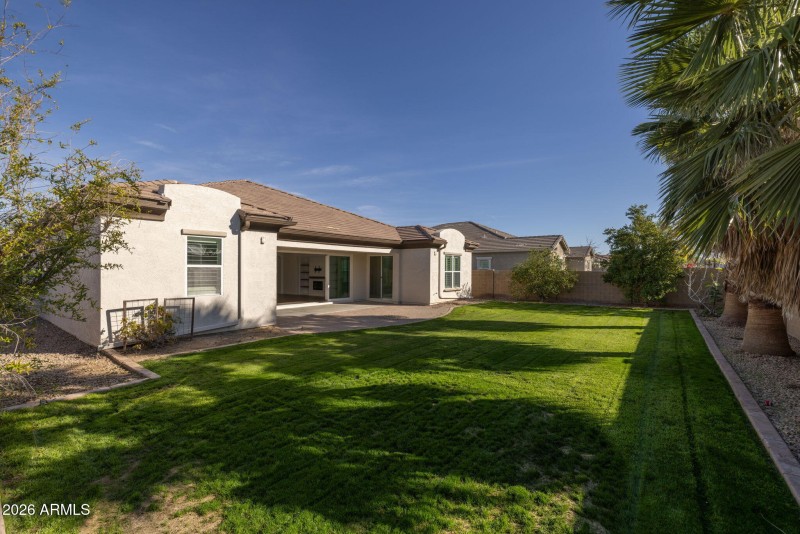 Fruit and shade trees