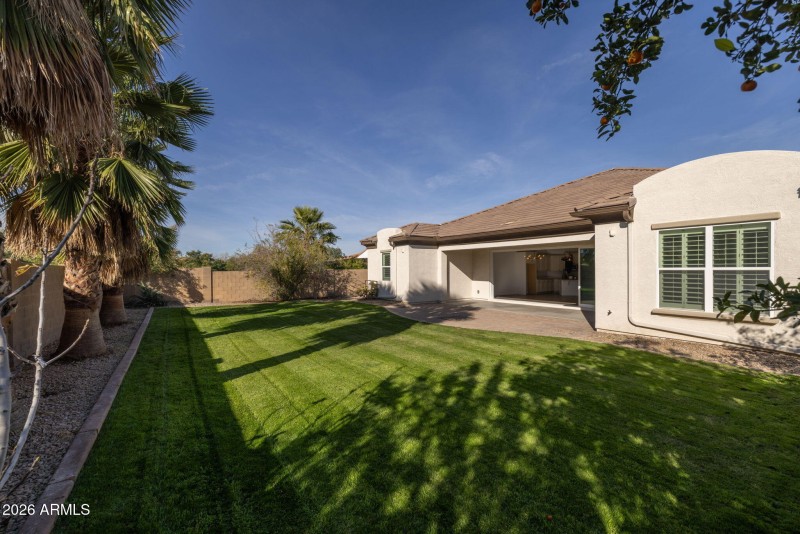 South facing backyard