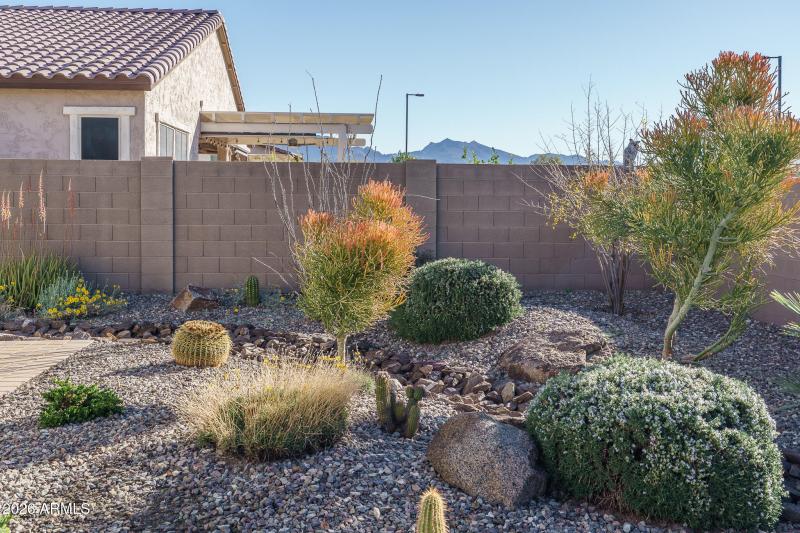 27) BACKYARD